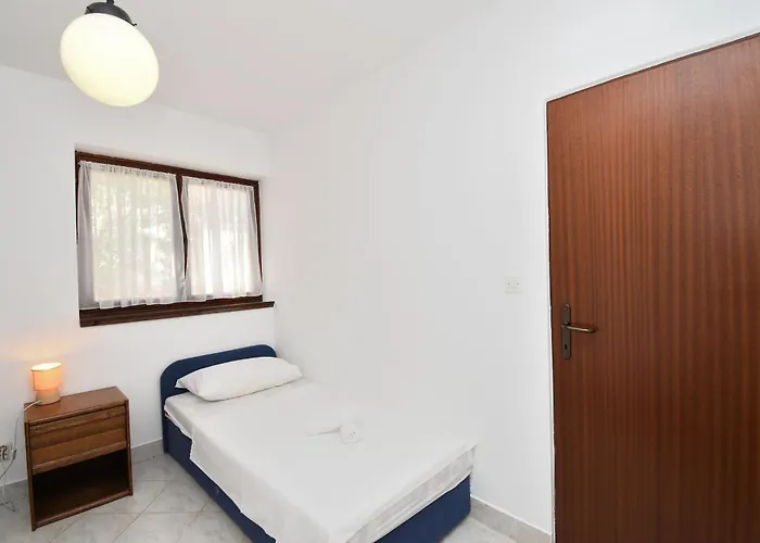 Little Bird Barbariga