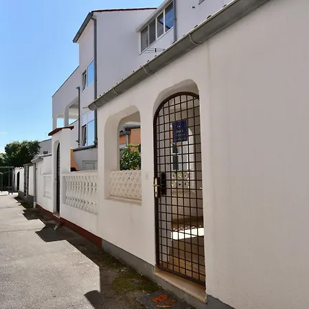 Little Bird 바르바리가