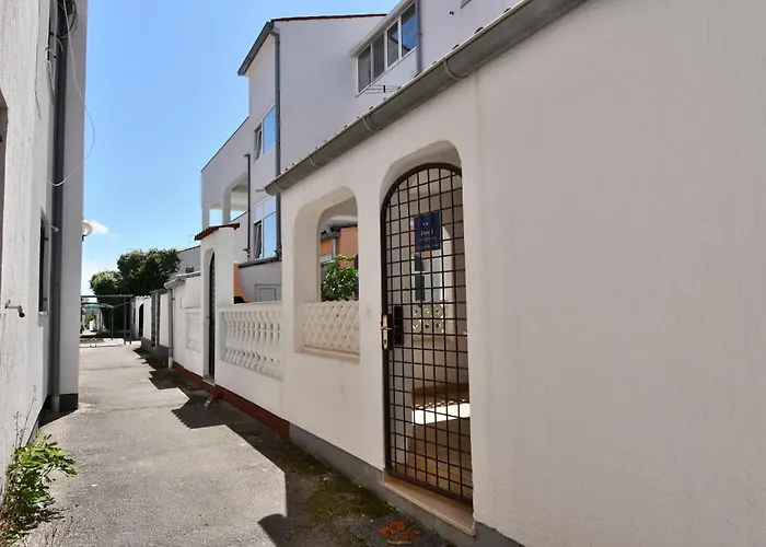 Little Bird 바르바리가